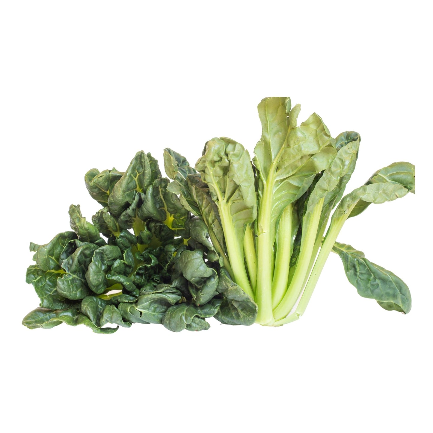 塔菇菜 (2 LB)