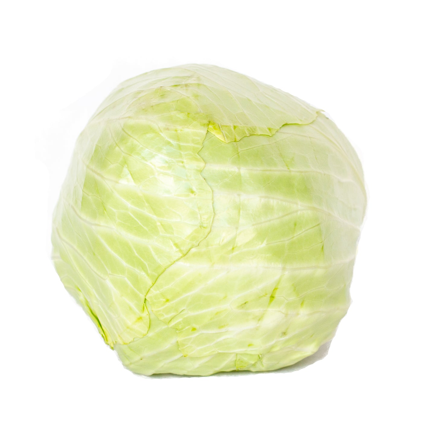 116)Cabbage 卷心菜 (1 PC)
