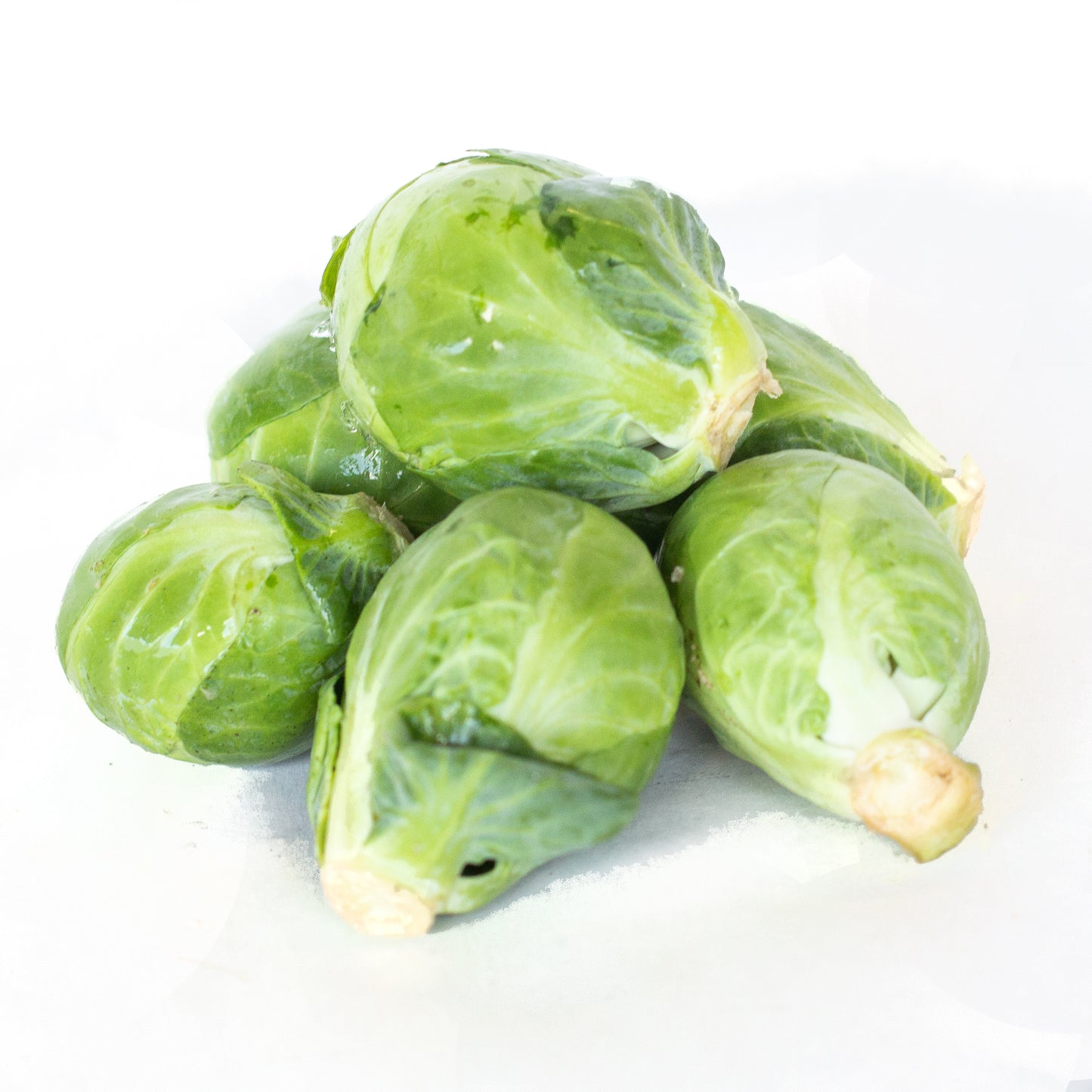 Brussel Sprouts 小包菜牙 (2 LB)