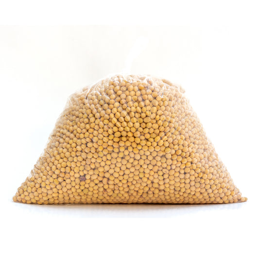 Dried Soybeans 黄豆 (3 LBS)