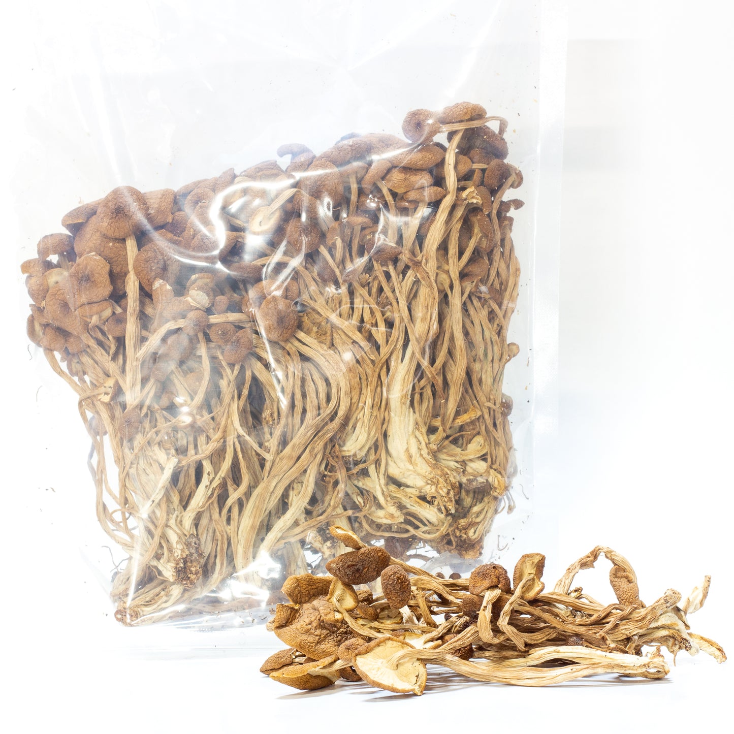 Dried Tea Mushroom 茶树菇 (200g)
