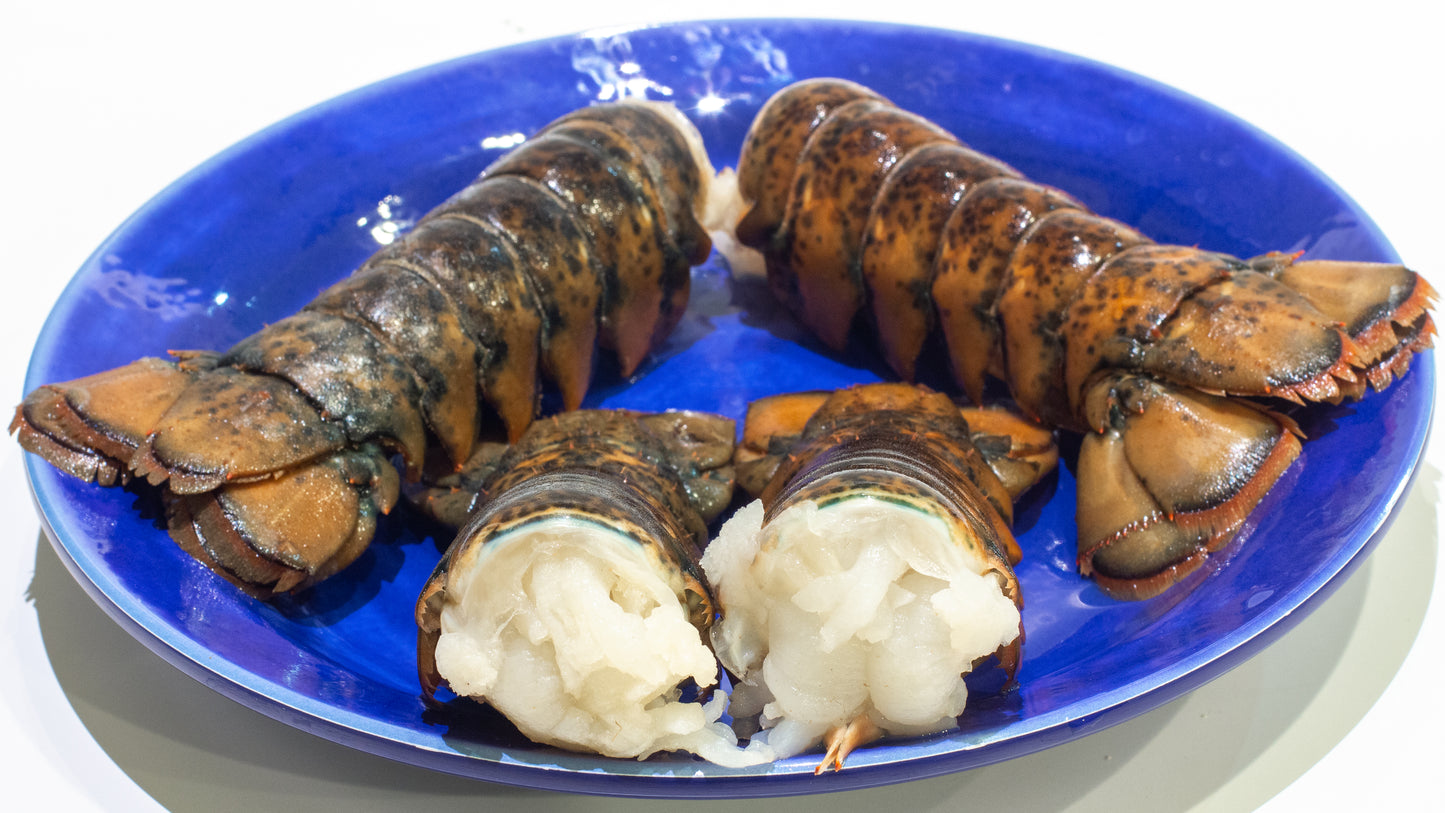 Lobster Tails 大龙虾尾 (2 PC 10-12OZ)