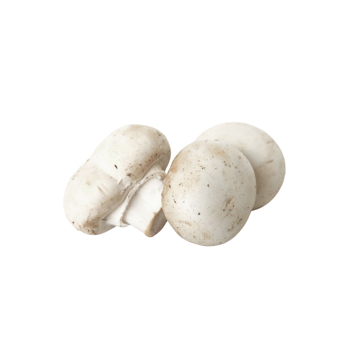 Mushrooms 蘑菇 (8 OZ)