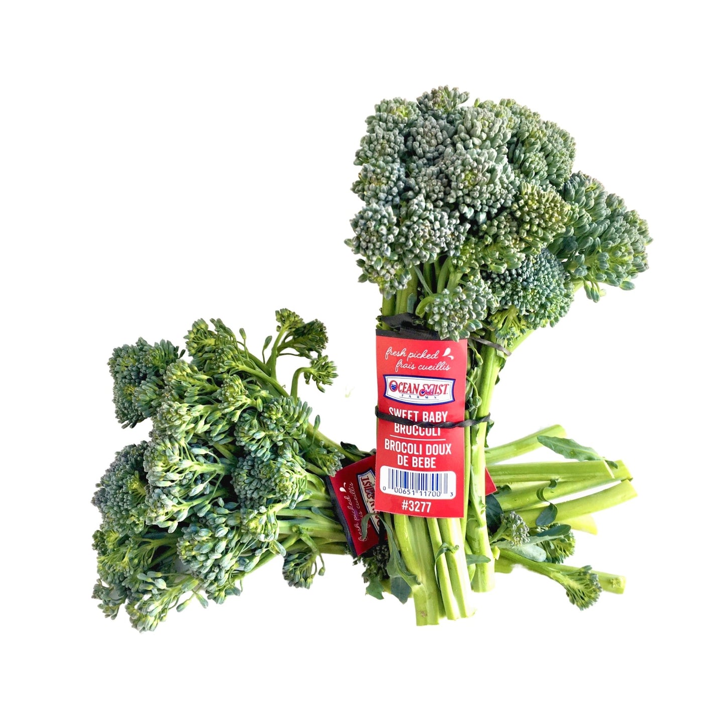 Broccolini 长兰花 (2 Bunches/把)