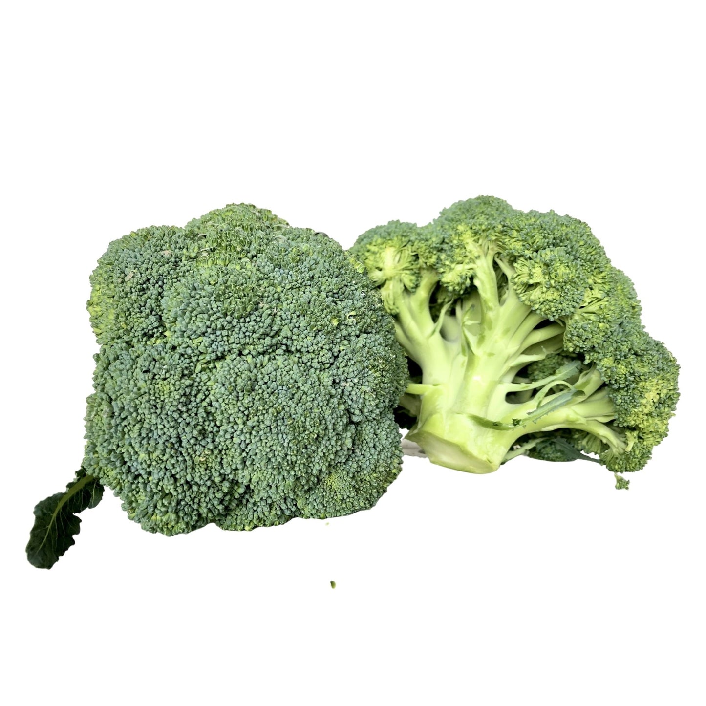 Broccoli 西兰花 (2LB) 🥦