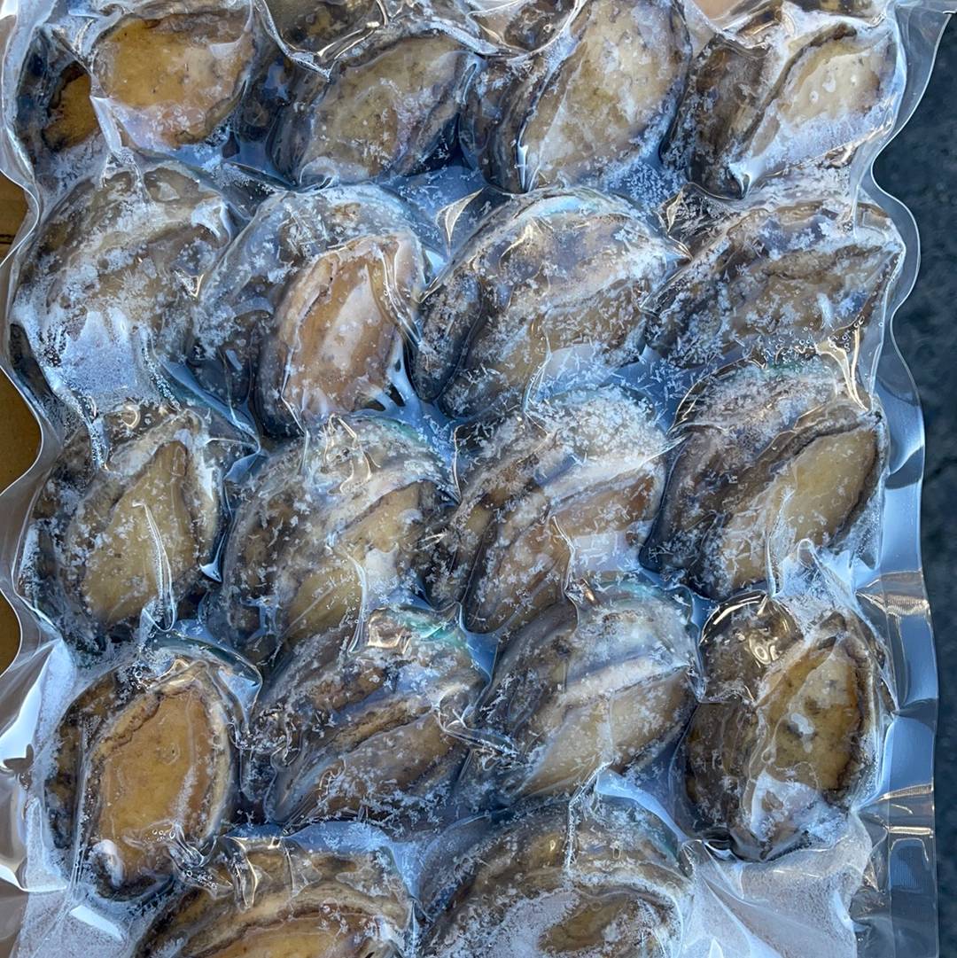 Frozen organic Abalone冷冻有机鲍鱼（18ea/bag)