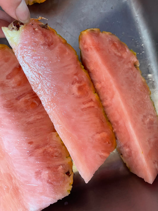 Pink Pineapple 粉红色波囖（1 ea /个）