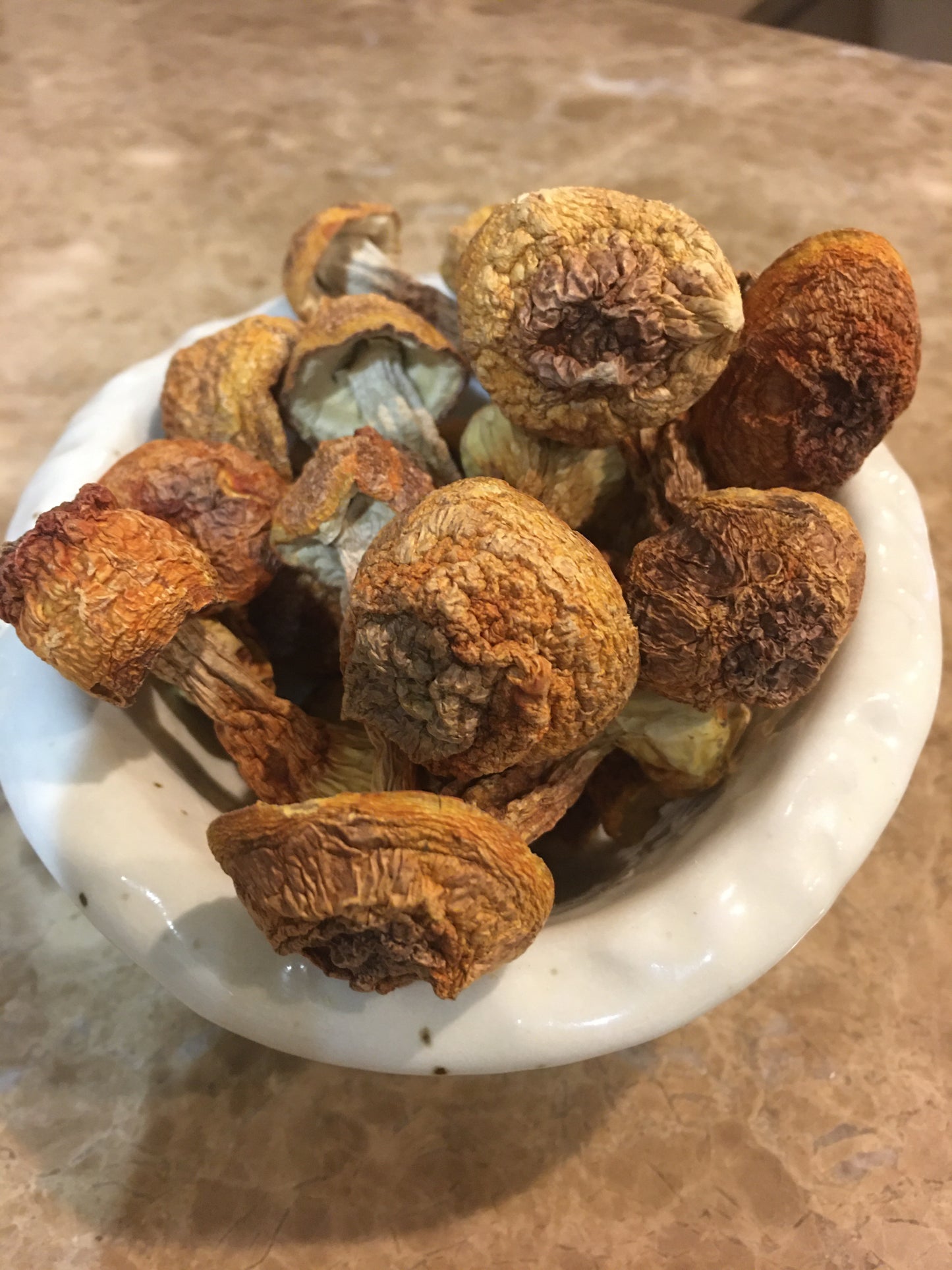 Dried Mushroom (Agaricus Blazei) 姬松茸/巴西菇 (250g)