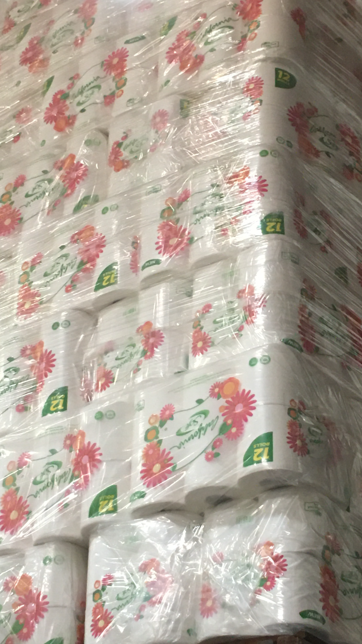 CALI SOFT Toilet Paper 廁纸 (48 ROLLS)