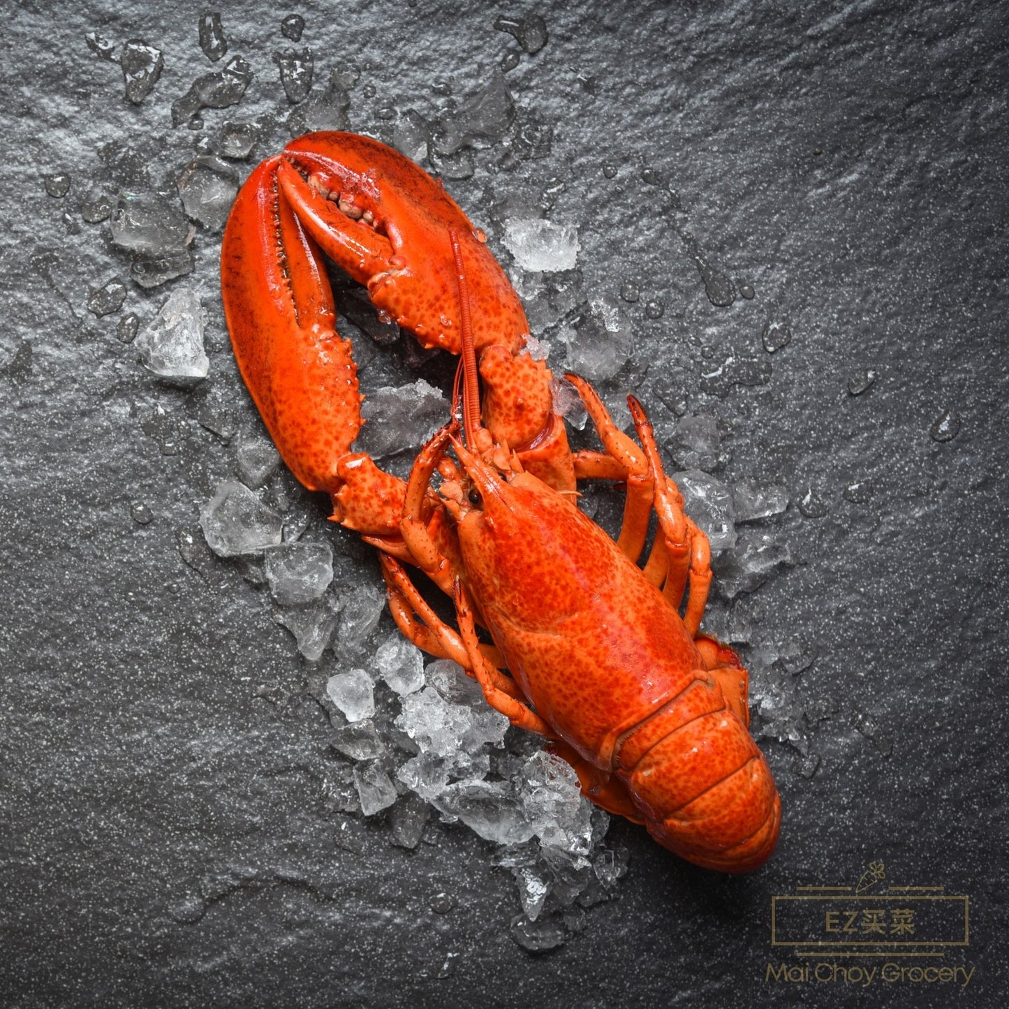 Live Lobster 龙虾 (1-1.2 LBS/磅）